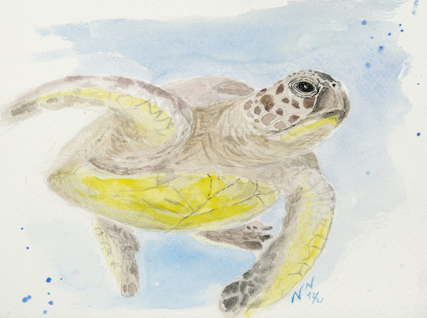 My Way by Natascha Nigg