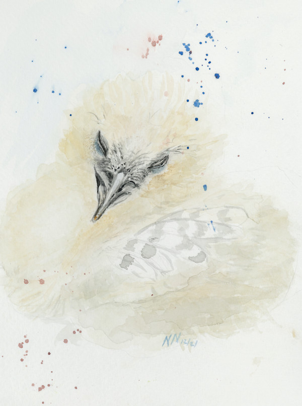 Baby Bird by Natascha Nigg