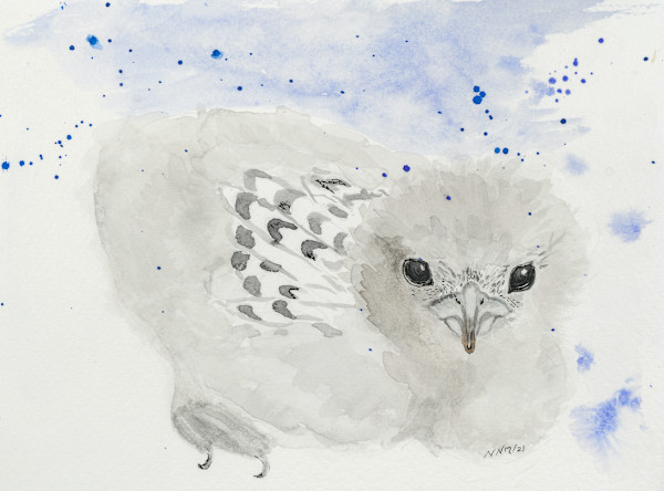 Some Days later by Natascha Nigg