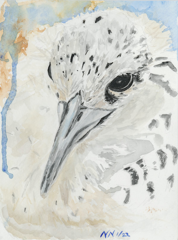 Almost ready to fly by Natascha Nigg