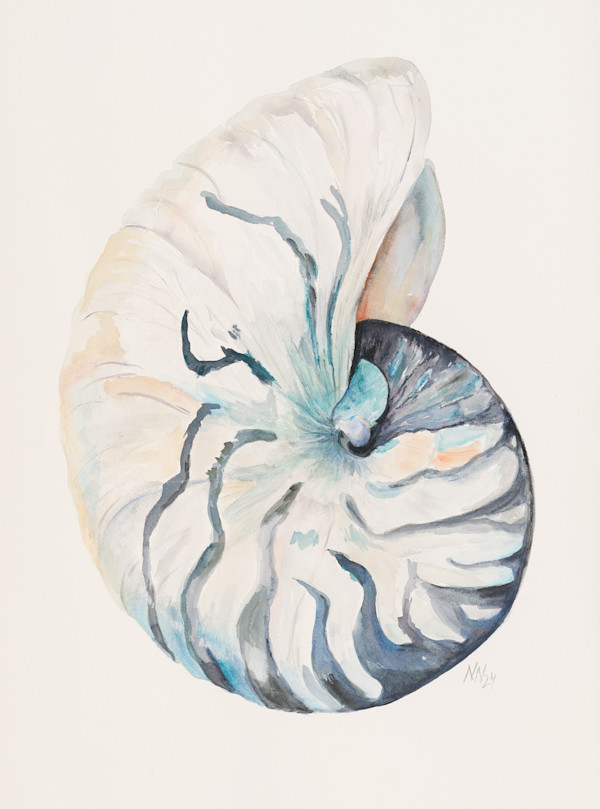 Nautilus by Natascha Nigg