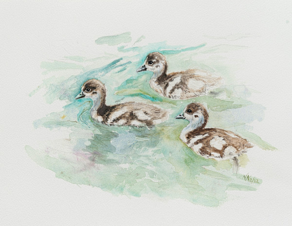 Goose Brothers by Natascha Nigg