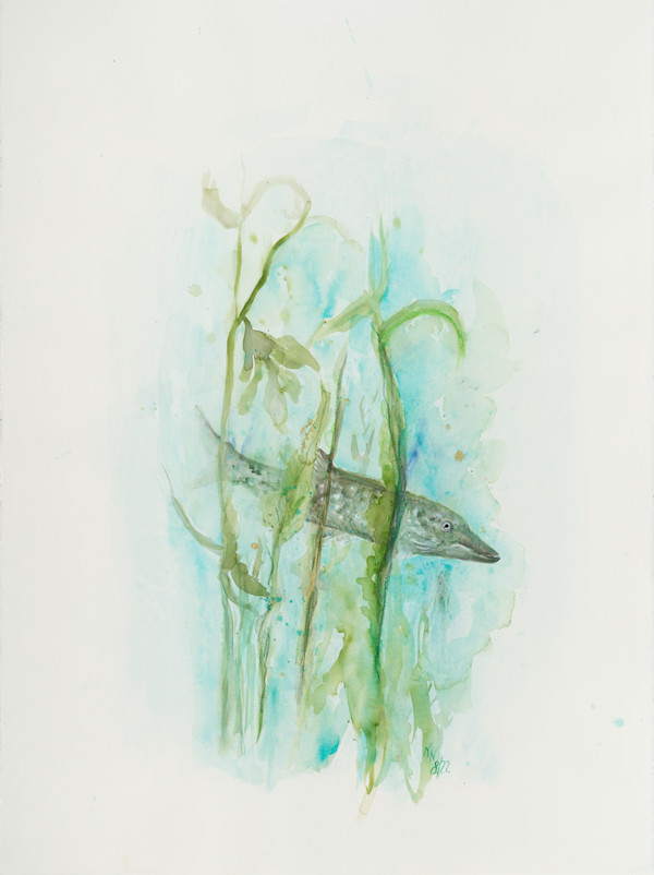 Pike by Natascha Nigg