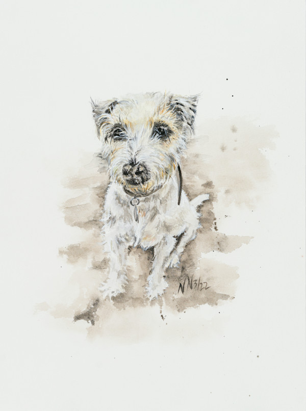 Sand Nose Baby Girl by Natascha Nigg