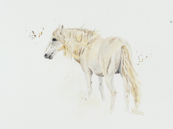 Freedom by Natascha Nigg