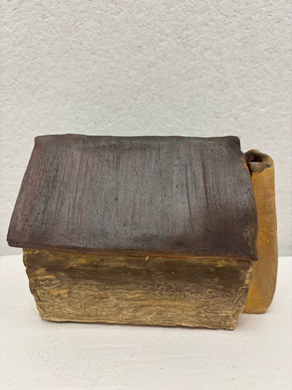 Wonky Cabin by Emily Smith