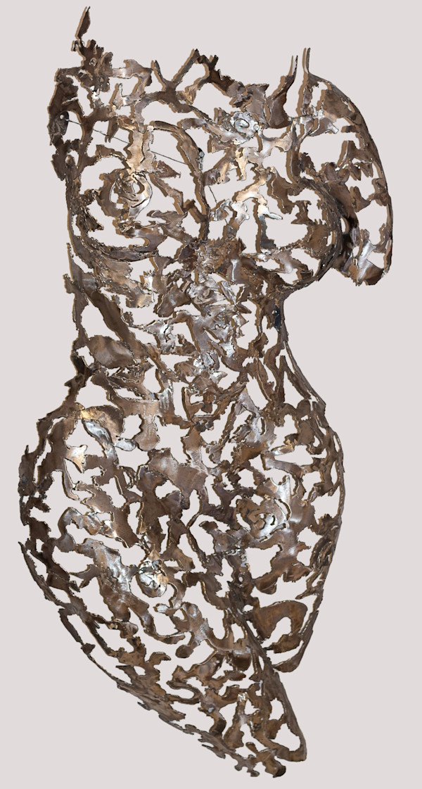 Anima by Stephen Cole Fine Art, Image 1.