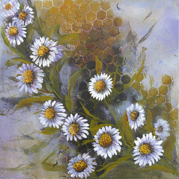 Daisy Dreams by Michelle M Johnson