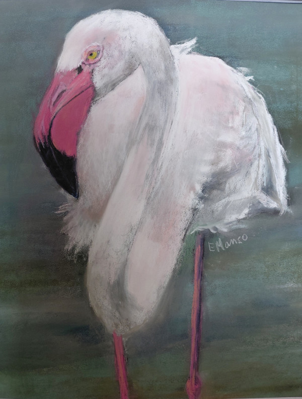 Grace In Pink by Esther Manso