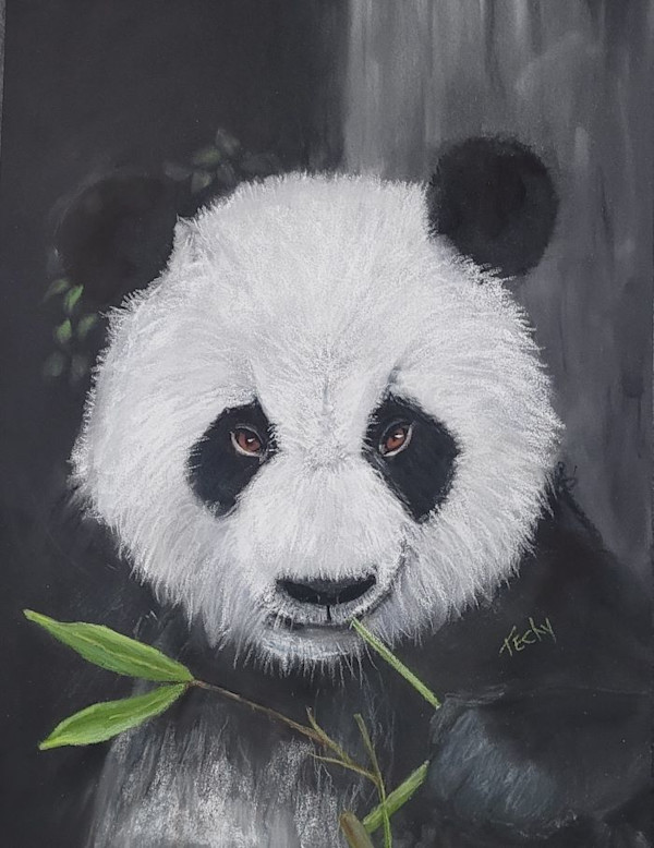 Panda's Delight by Esther Manso