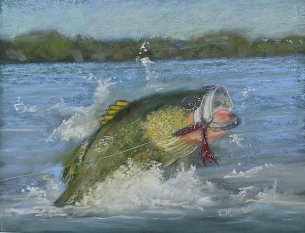 The Big Catch by Esther Manso