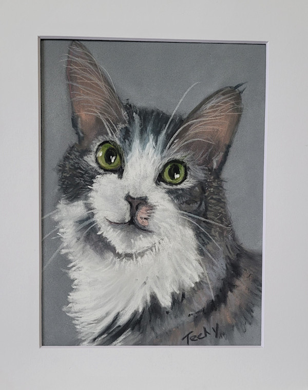 Cat Portrait by Esther Manso