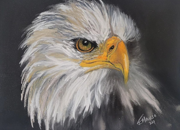 Eagle by Esther Manso