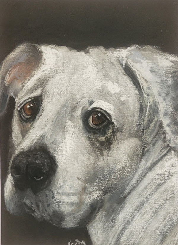 Eternal Companion - Stella by Esther Manso