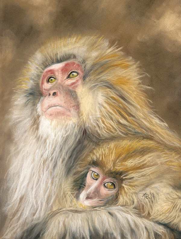 Tender Bonds by Esther Manso