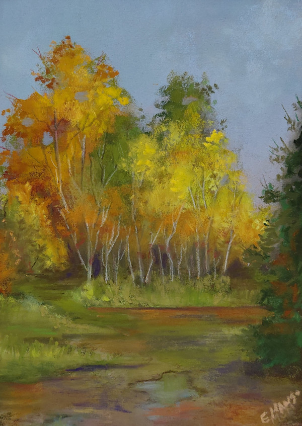 Two Raods in a Yellow Wood by Esther Manso