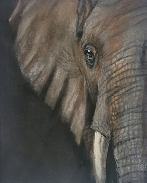 Watching Over You by Esther Manso