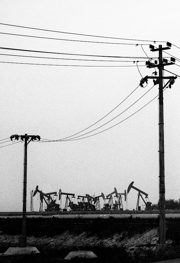 Wired With Oil by Peter Tertzakian