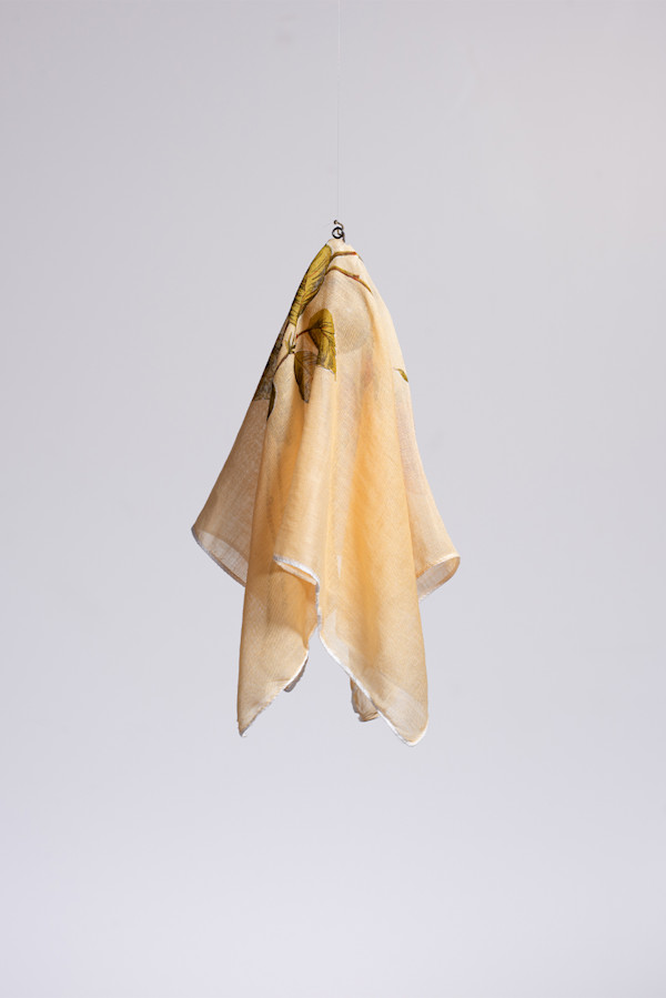 Gag 17/37 by Claire Morgan, Image 1.