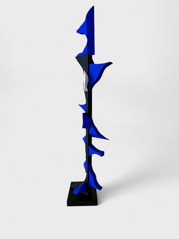 Black and Blue by Scott Bruckner