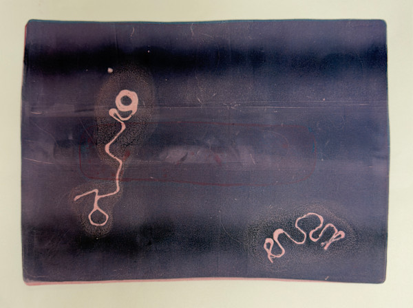 Protozoa | No. 1 by Janelle Douglas