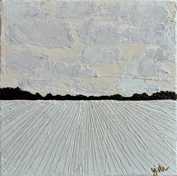 White Fields, Delta Feels by Janelle Douglas