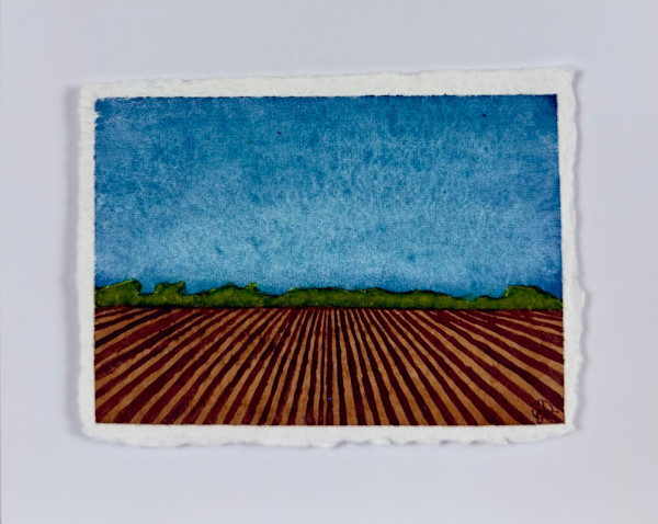 Delta Rows | No.19 by Janelle Douglas