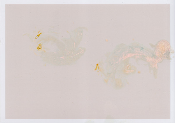 Deep Surface Series by Traci Kelly
