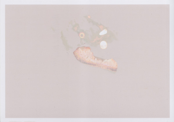 Deep Surface Series by Traci Kelly