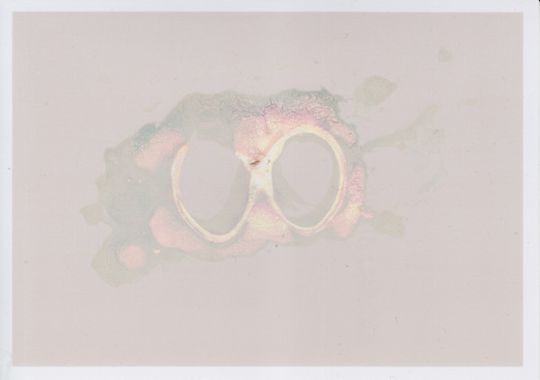 Deep Surface Series by Traci Kelly