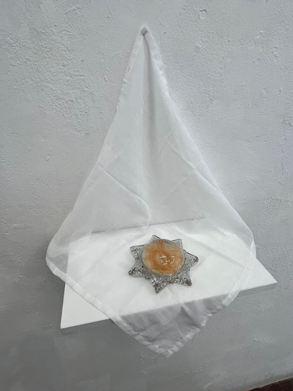 Guiding Star by Traci Kelly
