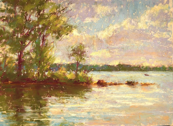 Brown's Island by Gail Sibley