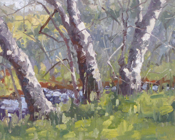 Sycamore Stand by David  A. Williams, Image 1.