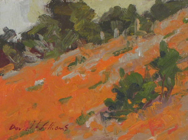 Poppy Hillside by David  A. Williams, Image 1.