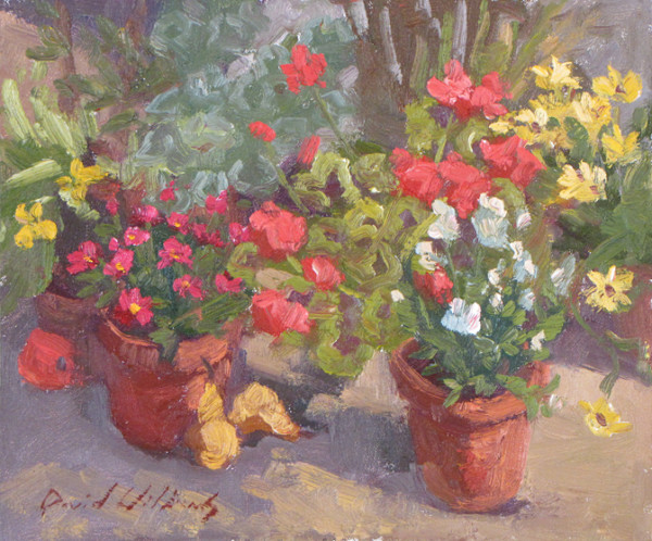 Geranium and Friends by David  A. Williams, Image 1.