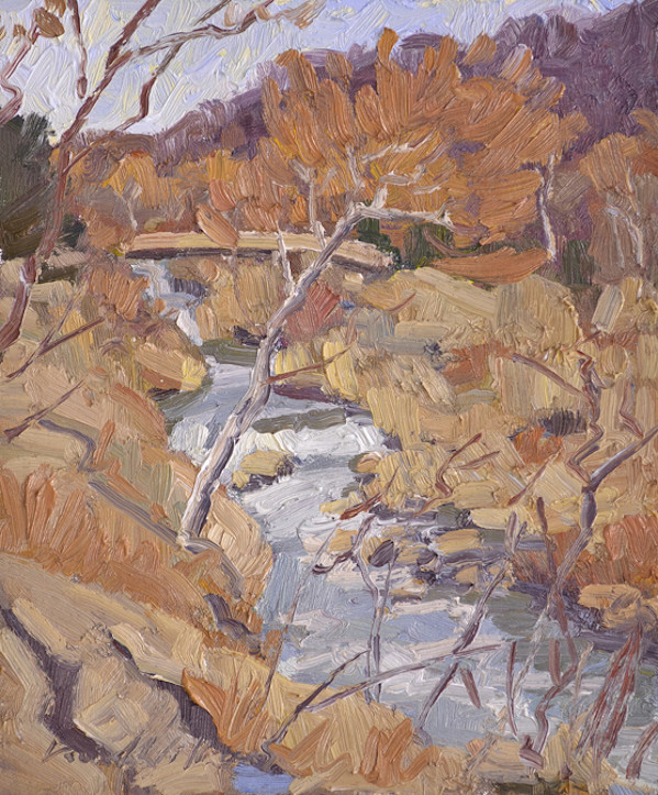 Great Falls Bridge by David  A. Williams, Image 1.