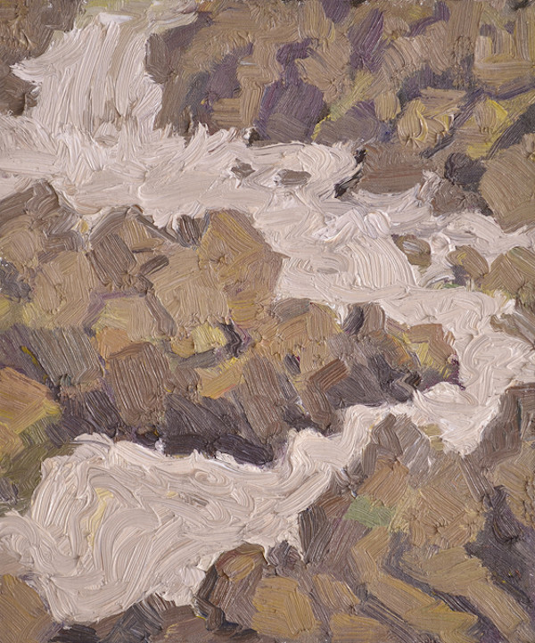 Roaring Great Falls by David  A. Williams, Image 1.