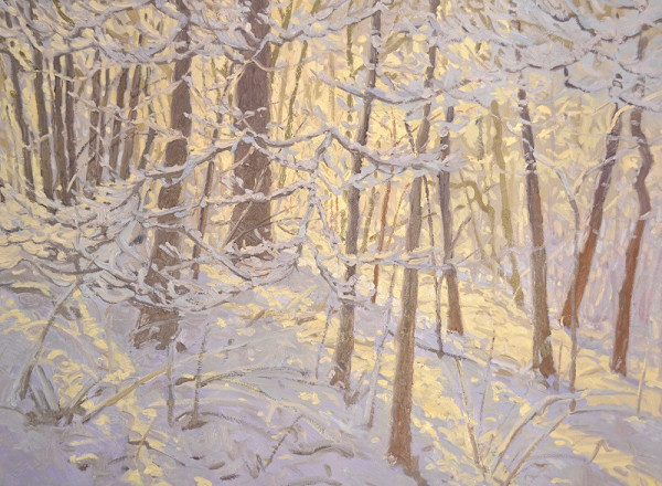 Winter Light by David  A. Williams, Image 1.