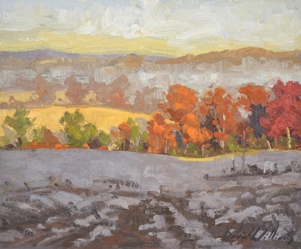 Frosted Fields by David  A. Williams, Image 1.