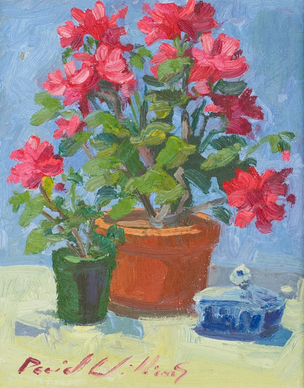 Geranium by David  A. Williams, Image 1.