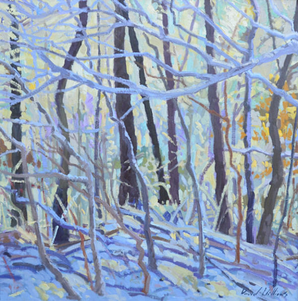Woodland Snow by David  A. Williams, Image 1.