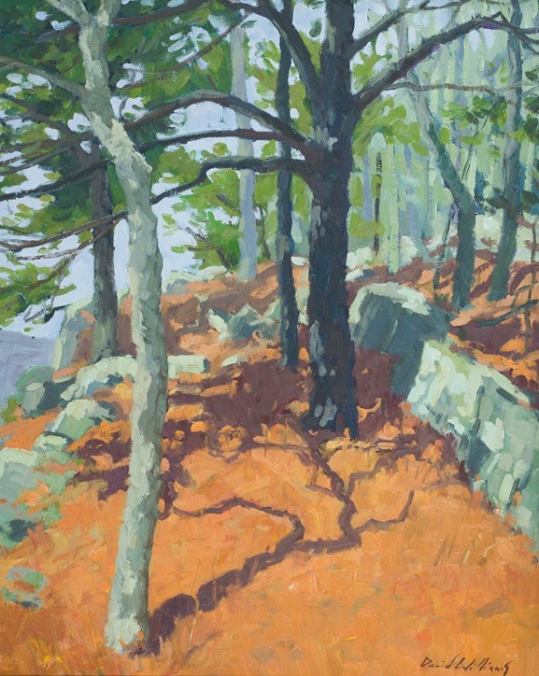 White Rock Pine by David  A. Williams, Image 1.