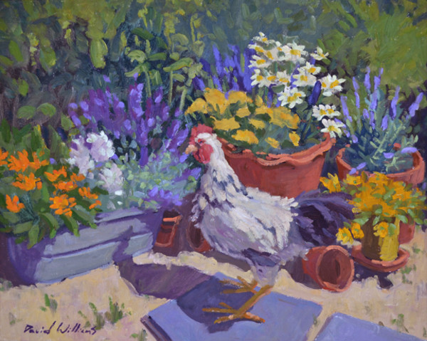 Chicken's Little Garden by David Williams