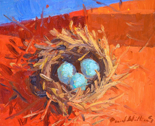 Nest by David  A. Williams, Image 1.