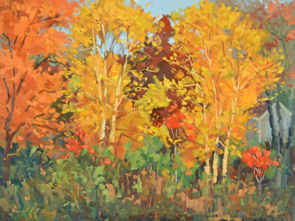 Autumn Birch by David Williams