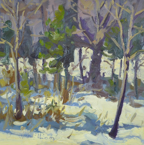 Winter Wood by David  A. Williams, Image 1.