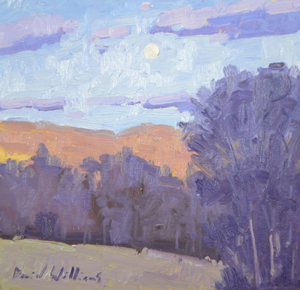 Moonrise by David  A. Williams, Image 1.