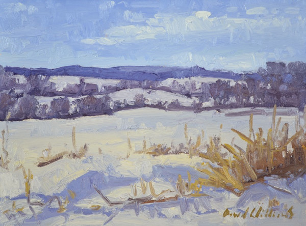 Winter Field by David  A. Williams, Image 1.