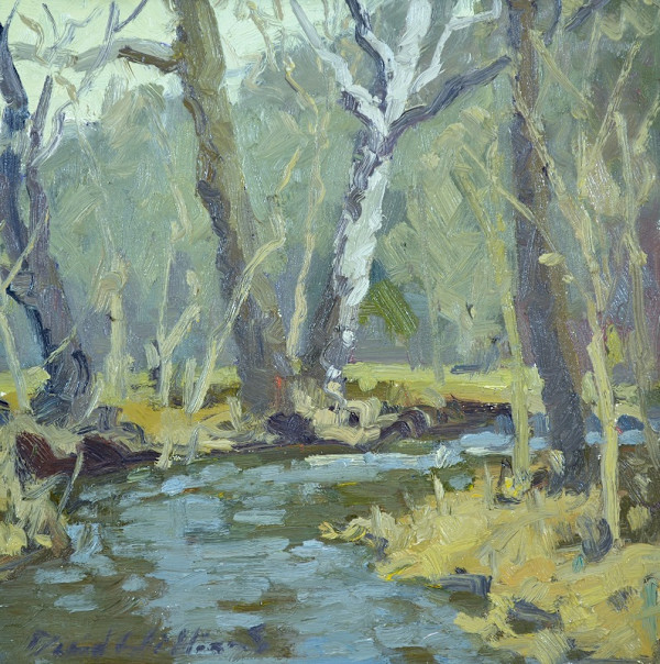 Goose Creek by David  A. Williams, Image 1.