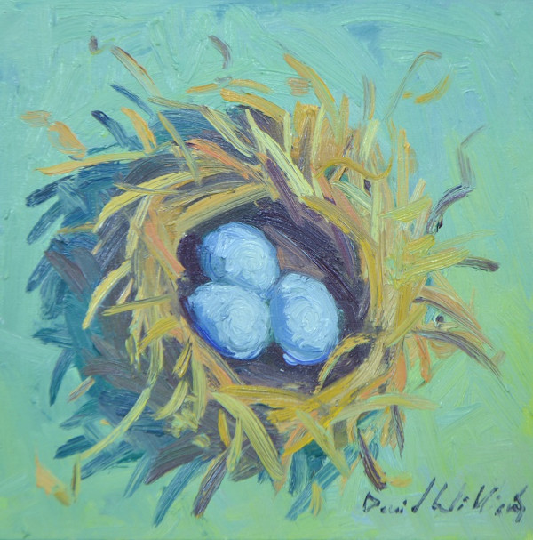 Nest by David  A. Williams, Image 1.